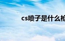 cs喷子是什么枪 喷子是什么枪 