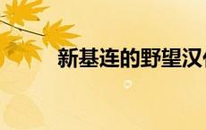 新基连的野望汉化 新基连的野望 