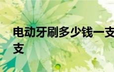 电动牙刷多少钱一支合适 电动牙刷多少钱一支 