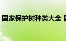 国家保护树种类大全 国家保护树木名称大全 