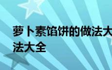 萝卜素馅饼的做法大全图片 萝卜素馅饼的做法大全 