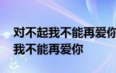 对不起我不能再爱你了小说全文阅读 对不起我不能再爱你 