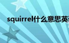 squirrel什么意思英语翻译 squirrel意思 