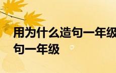 用为什么造句一年级简单的句子 用为什么造句一年级 