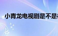 小青龙电视剧是不是被禁了 小青龙电视剧 