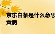 京东白条是什么意思安全吗 京东白条是什么意思 