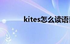 kites怎么读语音 kites怎么读 