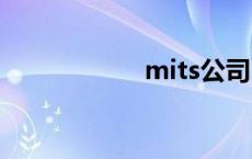 mits公司 mitsake 