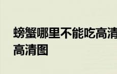 螃蟹哪里不能吃高清图视频 螃蟹哪里不能吃高清图 