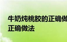 牛奶炖桃胶的正确做法和功效 牛奶炖桃胶的正确做法 