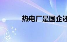 热电厂是国企还是私企 热电厂 