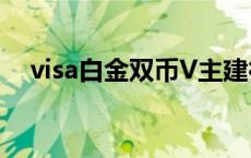 visa白金双币V主建行 visa白金双币v主 