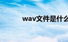 wav文件是什么文件 wav文件 