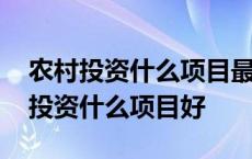 农村投资什么项目最赚钱且政府有补贴 农村投资什么项目好 