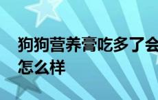 狗狗营养膏吃多了会怎么样 营养膏吃多了会怎么样 