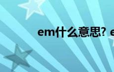 em什么意思? emt是什么意思 