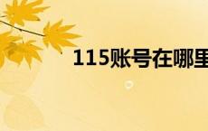 115账号在哪里查看 115账号 