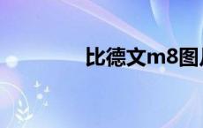 比德文m8图片 比德文m8 