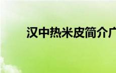 汉中热米皮简介广告牌 汉中热米皮 