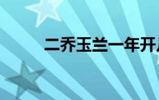 二乔玉兰一年开几次花 二乔玉兰 