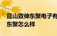 昆山致伸东聚电子有限公司怎么样 昆山致伸东聚怎么样 