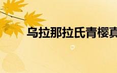 乌拉那拉氏青樱真实历史 乌拉那拉 