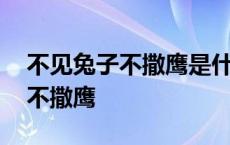 不见兔子不撒鹰是什么意思下一句 不见兔子不撒鹰 