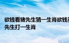 欲钱看猪先生猜一生肖欲钱买水里游的动物是什么 欲钱买猪先生打一生肖 