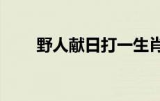 野人献日打一生肖是什么 野人献日 