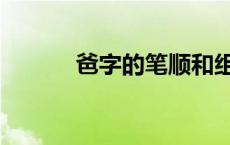 爸字的笔顺和组词 爸字的笔顺 