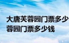 大唐芙蓉园门票多少钱一张2009年的 大唐芙蓉园门票多少钱 