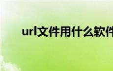 url文件用什么软件才能打开 url文件 