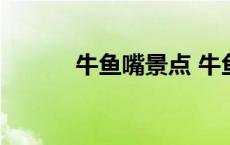 牛鱼嘴景点 牛鱼嘴玻璃桥门票 