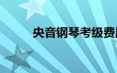 央音钢琴考级费用 钢琴考级费用 