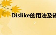 Dislike的用法及短语 dislike的用法 