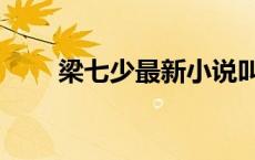 梁七少最新小说叫什么名字 梁七少 