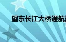 望东长江大桥通航规定 望东长江大桥 