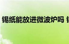 锡纸能放进微波炉吗 锡纸可以微波炉加热吗 