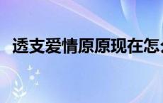 透支爱情原原现在怎么样了 透支爱情贴吧 