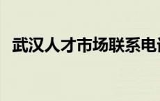 武汉人才市场联系电话 武汉人才市场地址 