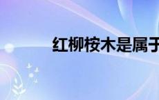 红柳桉木是属于红木吗 红柳桉 