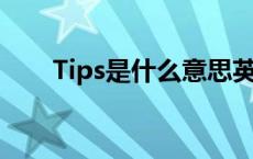 Tips是什么意思英语 tip是什么意思 