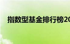 指数型基金排行榜2020 指数型基金排名 