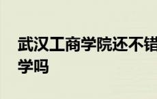 武汉工商学院还不错 武汉工商学院是野鸡大学吗 