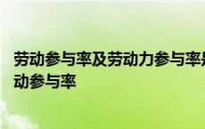 劳动参与率及劳动力参与率是衡量劳动力供给的重要指标 劳动参与率 