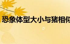 恐象体型大小与猪相似没有细长的鼻子 恐象 