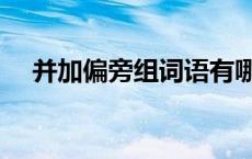 并加偏旁组词语有哪些字 并加偏旁组词 