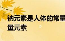 钠元素是人体的常量元素吗 钠是常量还是微量元素 