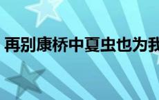 再别康桥中夏虫也为我沉默 夏虫也为我沉默 