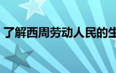 了解西周劳动人民的生活情况最好查阅 了解 